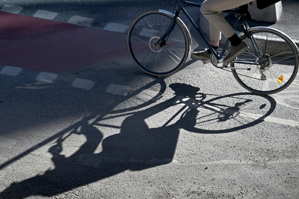 Man gets animal ban – dragged puppy behind bike