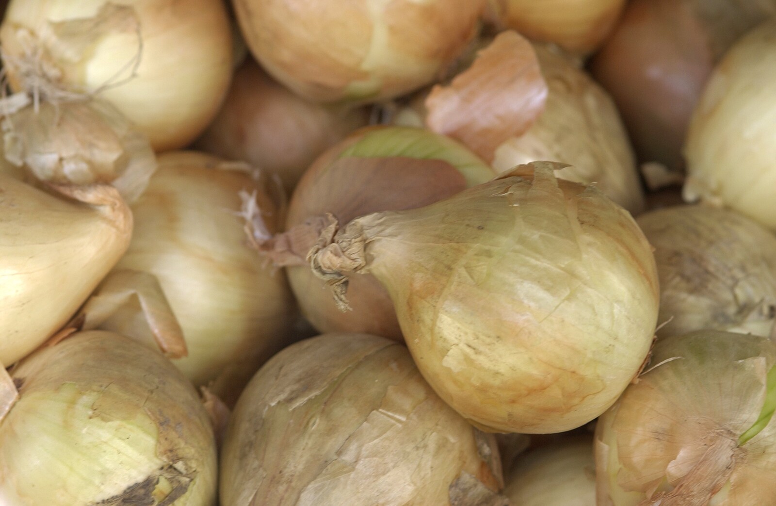 German politician let dictatorship prisoners pick onions